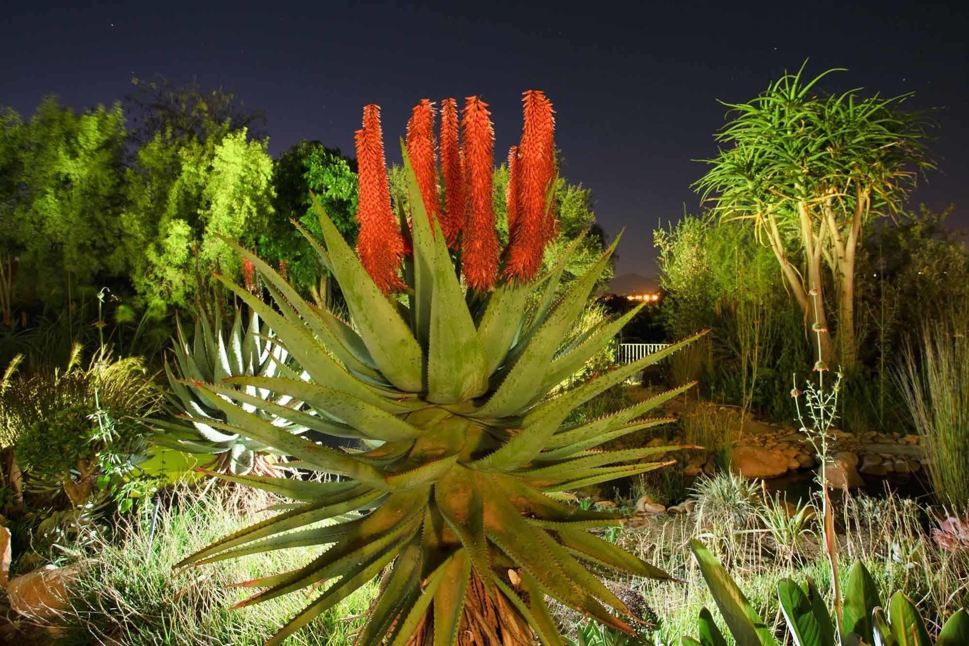 Aloe Manor Hotel Oudtshoorn Bagian luar foto